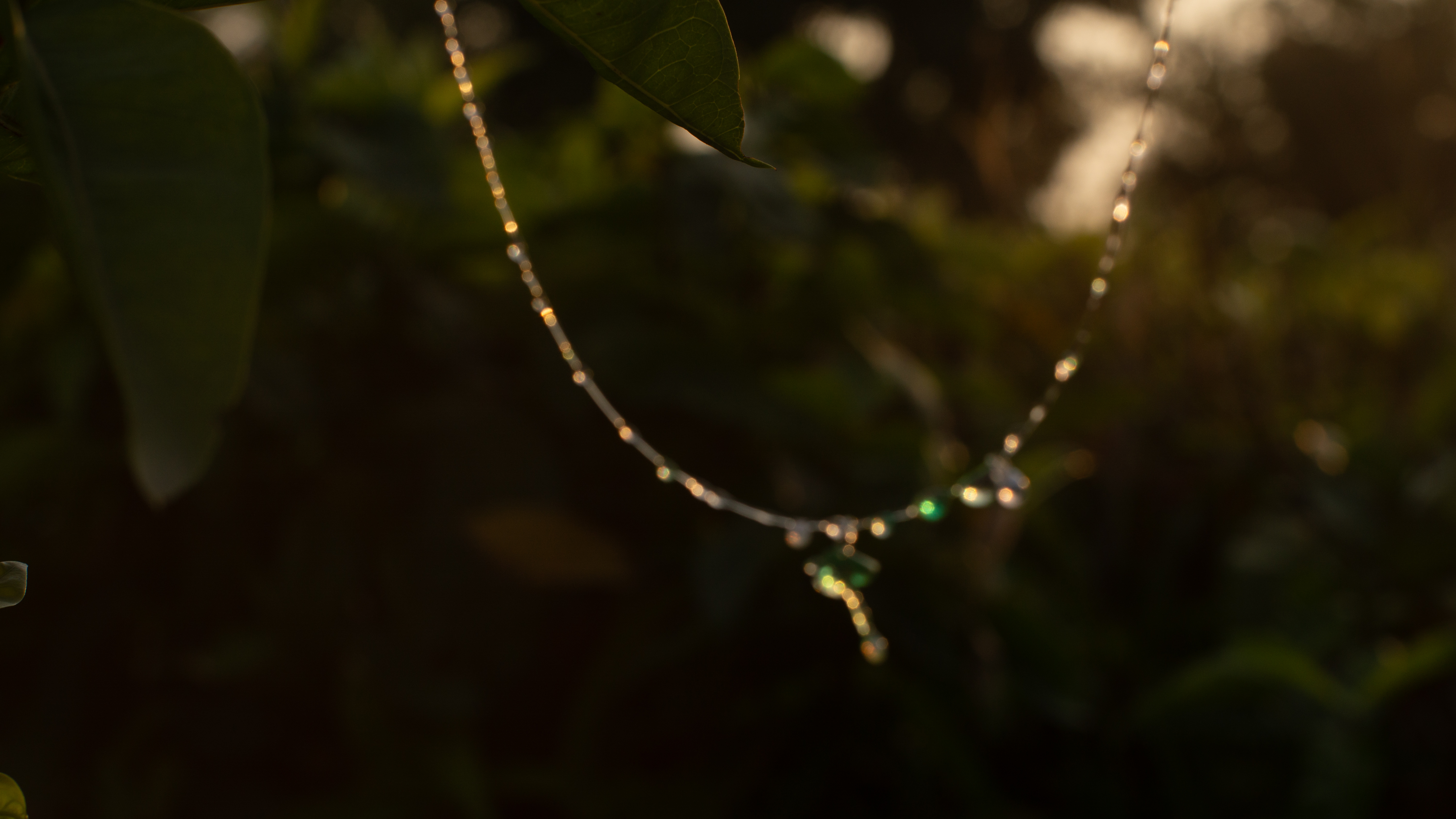 tinyfungi jewelry
